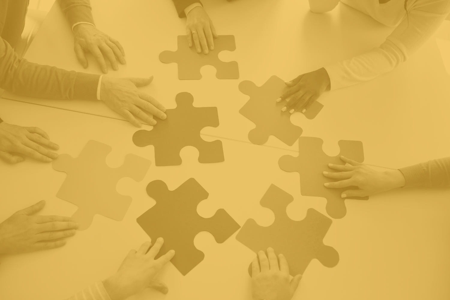 Shared Services